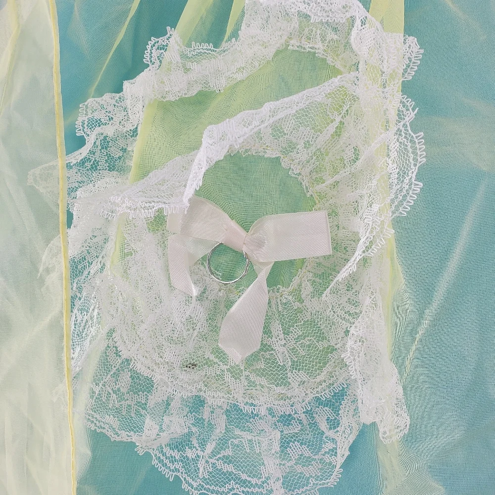 Vintage late 50s sheer wedding ring apron - Picture 7 of 7